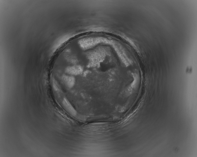 X0000090441263200708031145