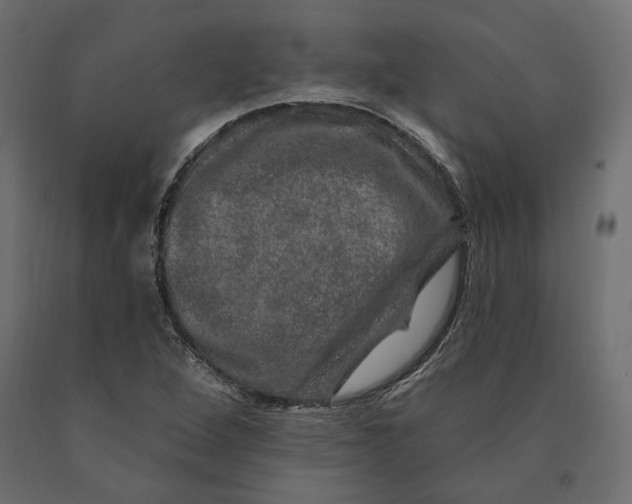 X0000090441264200708031145