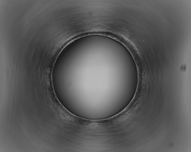 X0000090441265200708031145