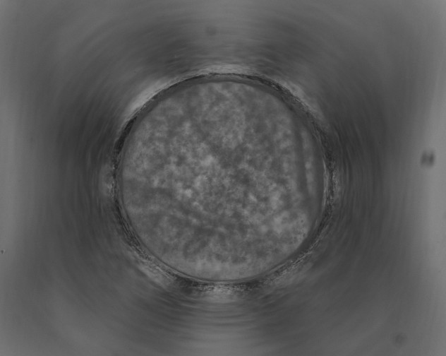 X0000090441266200708031145