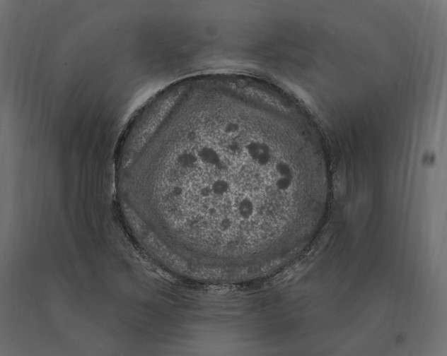 X0000090441267200708031145