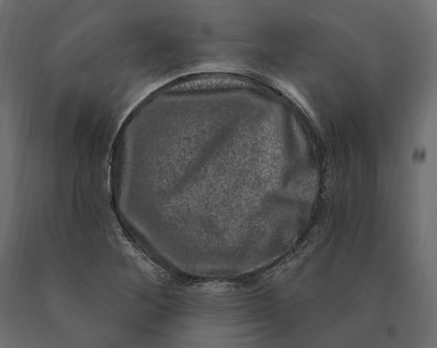 X0000090441268200708031145