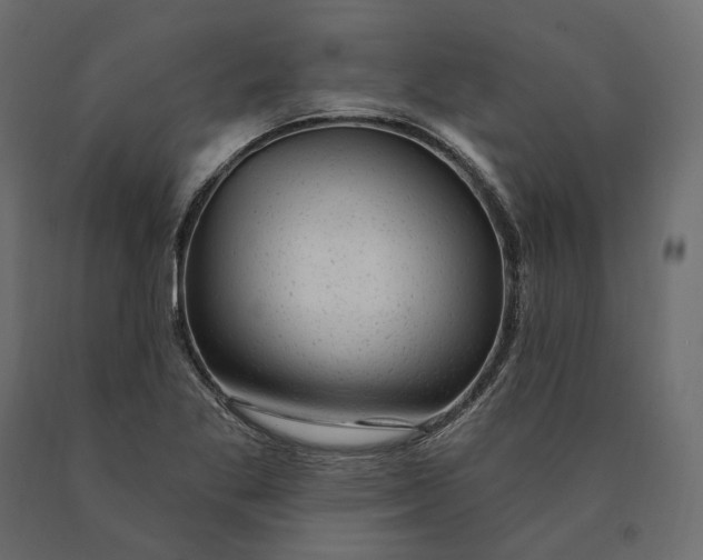 X0000090441269200708031145