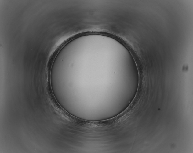 X0000090441270200708031145