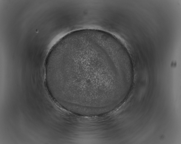 X0000090441271200708031145