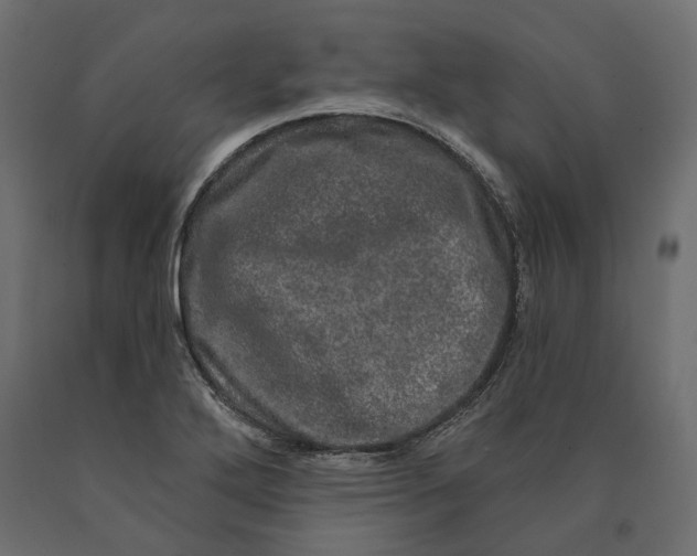 X0000090441272200708031145