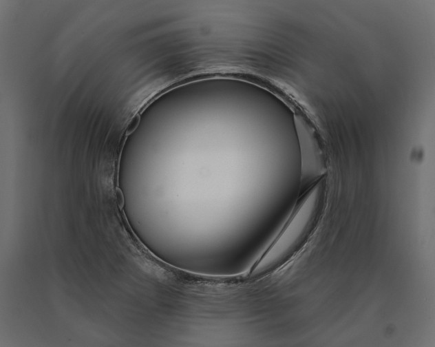 X0000090441273200708031145