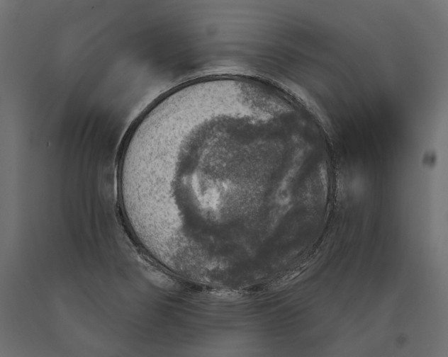 X0000090441274200708031145