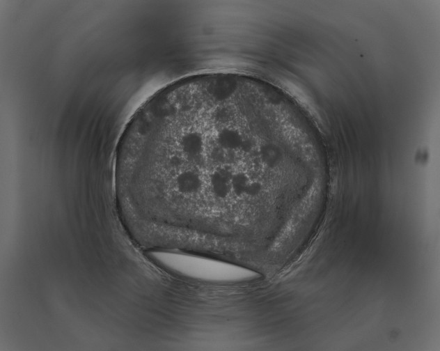 X0000090441275200708031145