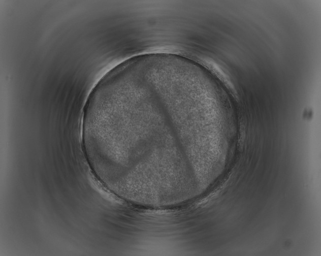 X0000090441276200708031145