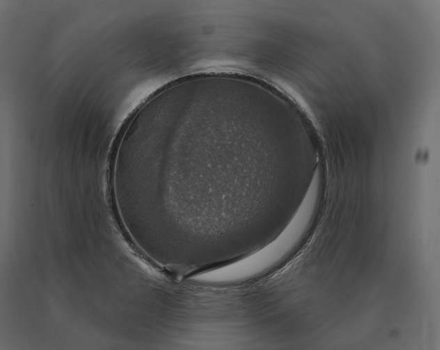 X0000090441277200708031145