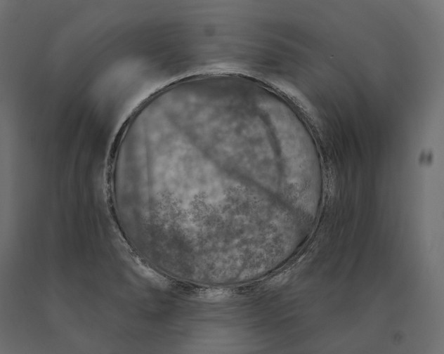 X0000090441278200708031145