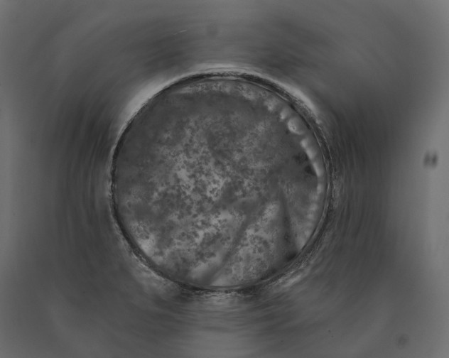 X0000090441279200708031145