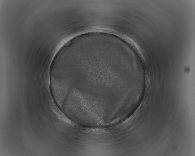 X0000090441280200708031145