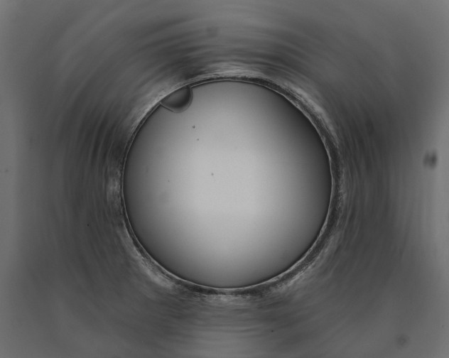 X0000090441281200708031145