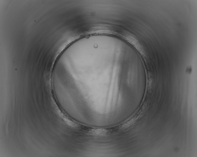 X0000090441282200708031145