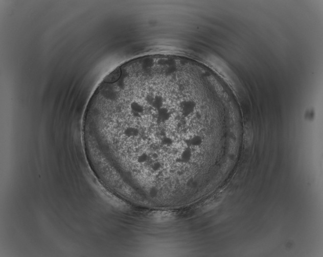 X0000090441283200708031145