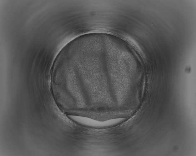 X0000090441284200708031145