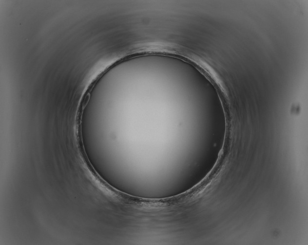 X0000090441285200708031145