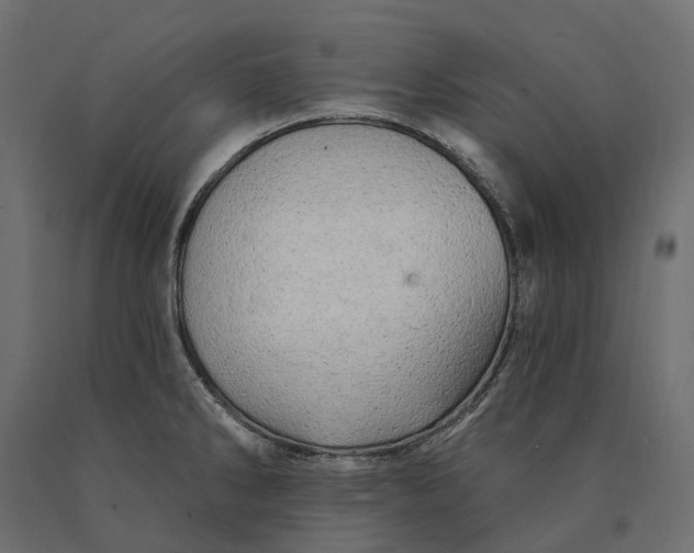 X0000090441286200708031145