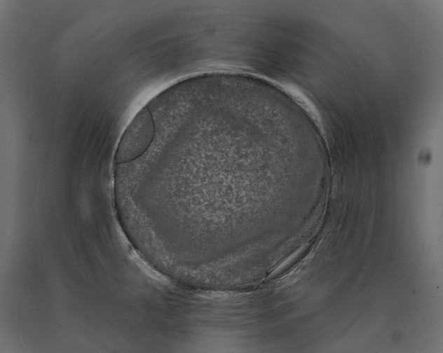 X0000090441287200708031145