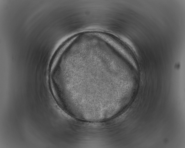 X0000090441288200708031145