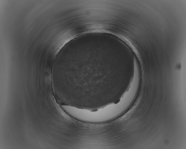 X0000090441289200708031145