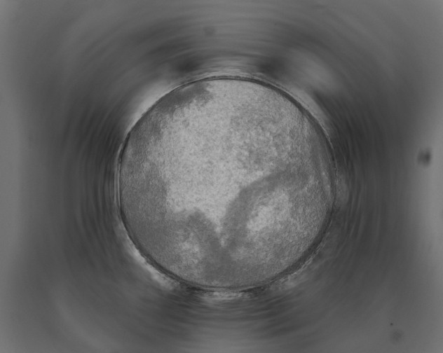 X0000090441290200708031145