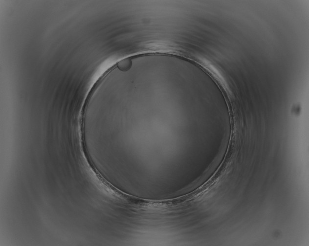 X0000090441291200708031145