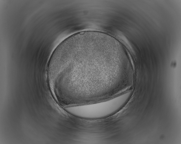 X0000090441292200708031145