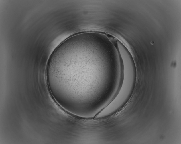 X0000090441293200708031145