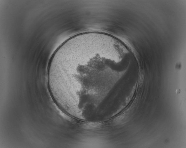 X0000090441294200708031145