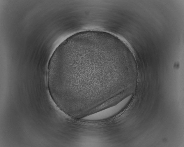 X0000090441295200708031145