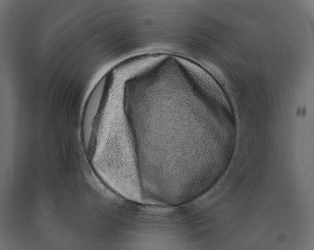 X0000090441296200708031145