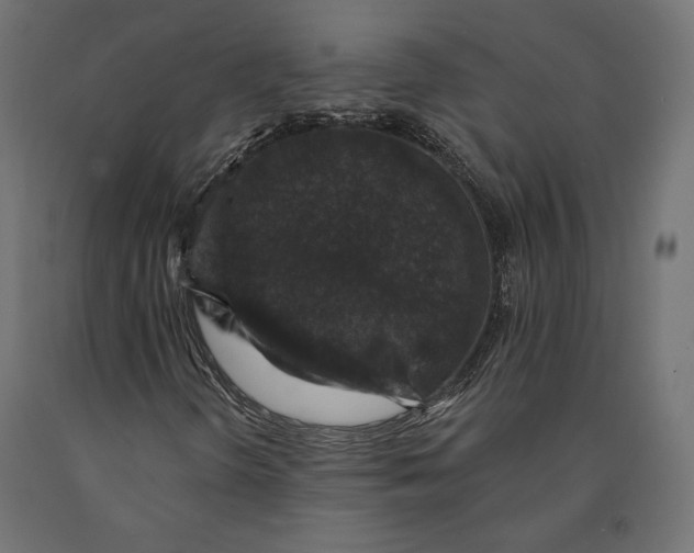 X0000090441298200708031144