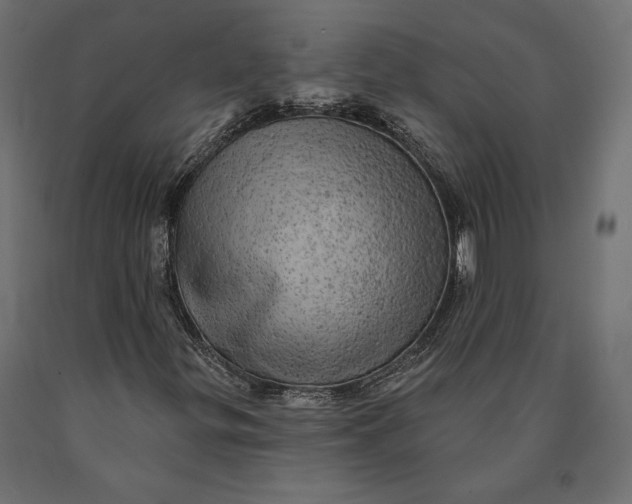 X0000090441299200708031144