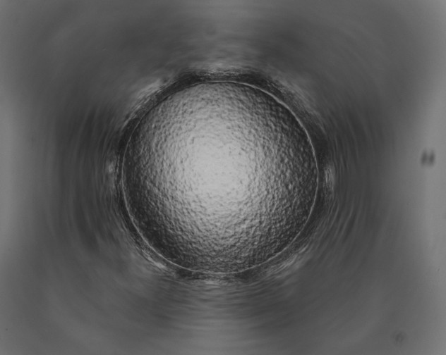 X0000090441300200708031144