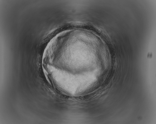 X0000090441301200708031144