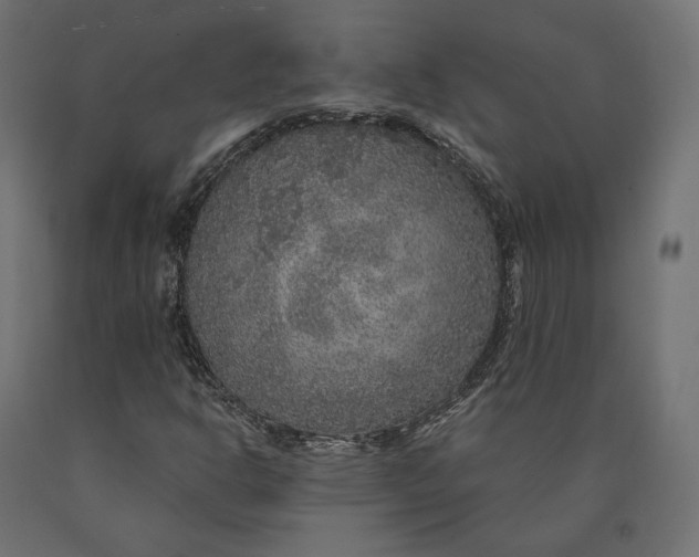 X0000090441302200708031144