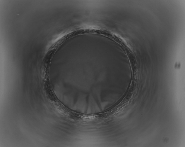 X0000090441303200708031144