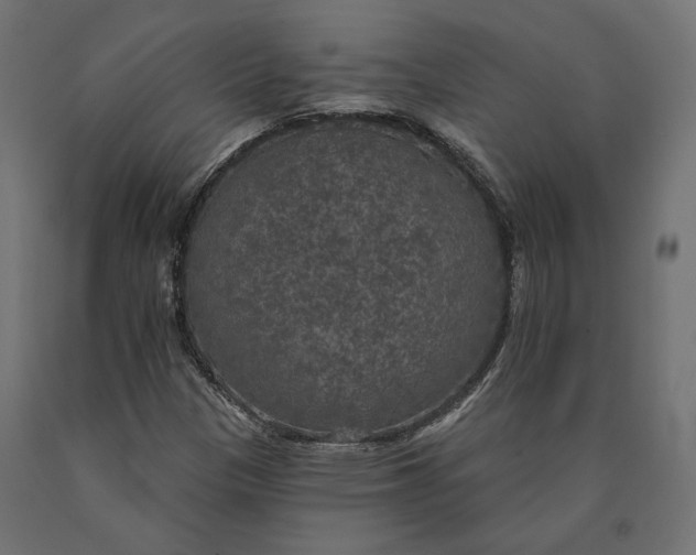 X0000090441305200708031144