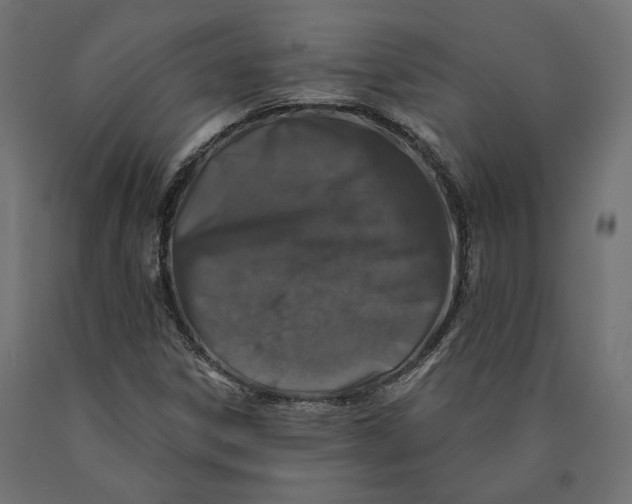 X0000090441306200708031144