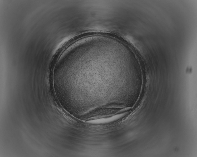 X0000090441307200708031144