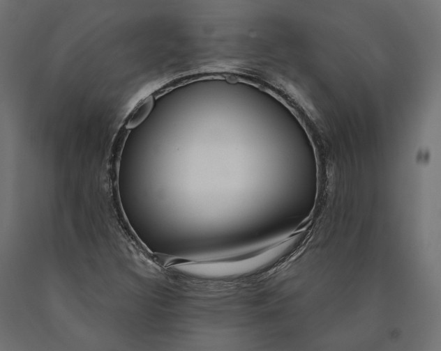 X0000090441308200708031144