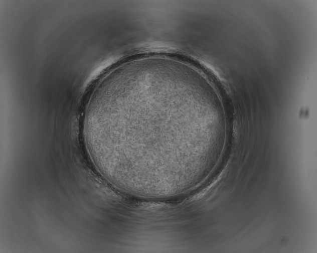 X0000090441309200708031144