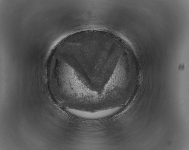 X0000090441310200708031144