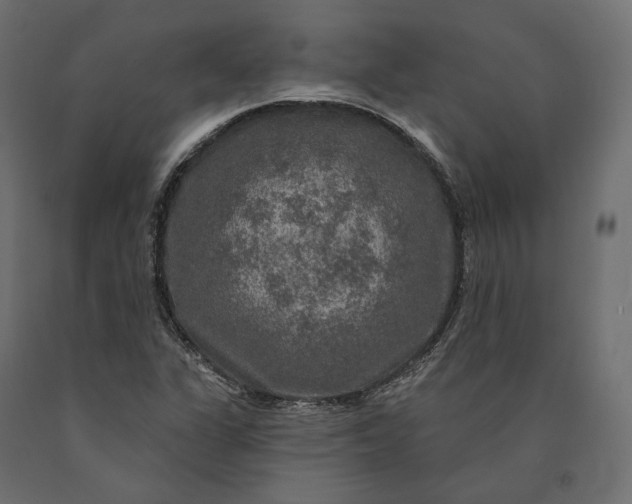 X0000090441311200708031144