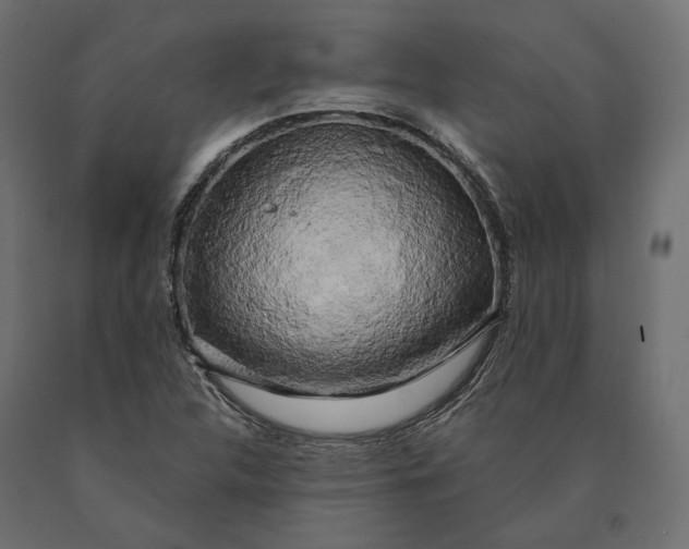 X0000090441312200708031144