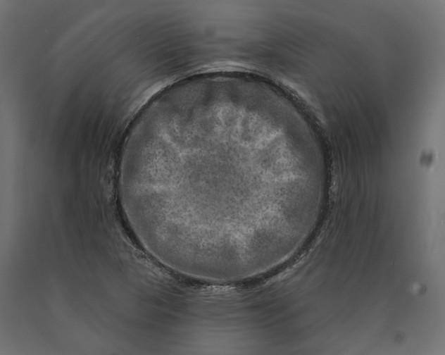 X0000090441313200708031144