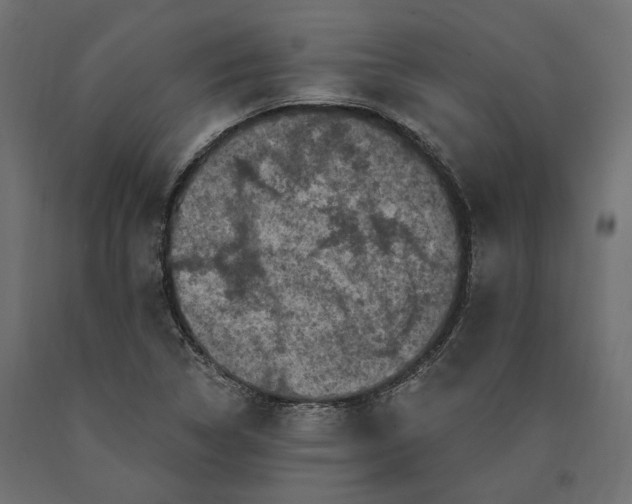 X0000090441314200708031144